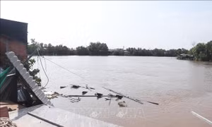 Hỗ trợ người dân bị sạt lở nghiêm trọng trên kênh xáng Bạc Liêu - Cà Mau