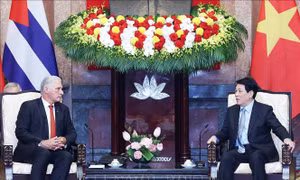 Bí thư thứ Nhất, Chủ tịch nước Cuba Miguel Diaz-Canel Bermudez hội kiến Chủ tịch nước Lương Cường