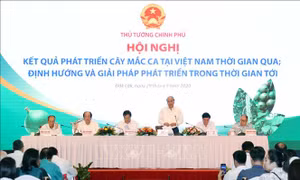 Thủ tướng Nguyễn Xuân Phúc: Cây mắc ca 'đi sau nhưng phải về trước'