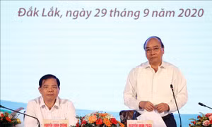 Thủ tướng Nguyễn Xuân Phúc chủ trì Hội nghị phát triển cây mắc ca tại Việt Nam