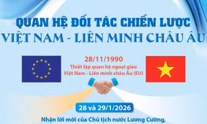 Quan hệ Đối tác chiến lược Việt Nam - Liên minh châu Âu