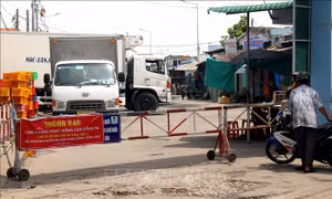 Thị xã La Gi cho phép tàu cá hoạt động trở lại