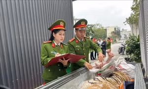 Triệt phá đường dây mua bán, nấu cao hổ