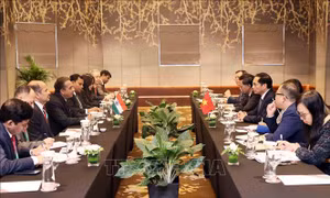 Việt Nam luôn coi trọng gìn giữ và phát triển quan hệ hữu nghị truyền thống với Ấn Độ