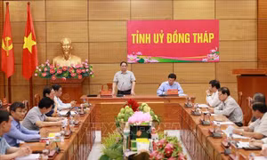 Xây dựng Đồng Tháp thành tỉnh kiểu mẫu về nông nghiệp sinh thái, nông thôn hiện đại