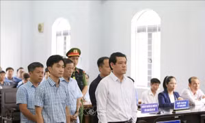 Tuyên án các bị cáo vụ sụt, trượt tại dự án hạ tầng Khu công nghiệp Nhân Cơ 
