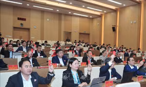 Cụ thể hóa các nghị quyết, tạo chuyển biến ngay những tháng đầu năm 
