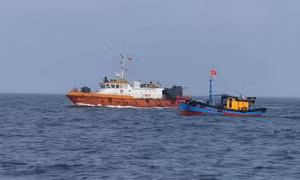 Khắc phục 'thẻ vàng' IUU: Quảng Trị siết chặt kiểm soát tàu cá