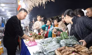 Khai mạc Liên hoan ẩm thực du lịch Ninh Bình năm 2025