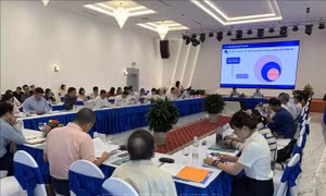 Bàn giải pháp hoàn thiện chính sách pháp luật về giao dịch điện tử