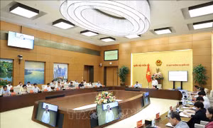 Bổ nhiệm 2 Trợ lý Chủ tịch Quốc hội Trần Thanh Mẫn