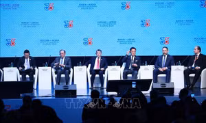 Việt Nam là 'chìa khóa' để duy trì sự cân bằng của toàn khu vực ASEAN