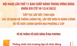 Kết thúc hoạt động của đảng bộ cấp huyện, thị xã, thành phố, quận trực thuộc tỉnh, thành phố trực thuộc Trung ương