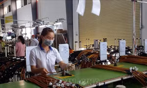 Vùng kinh tế trọng điểm phía Nam - Bài 3: Nâng chất lượng dòng vốn FDI