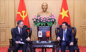 Việt Nam - Hàn Quốc đẩy mạnh hợp tác đào tạo, bồi dưỡng cán bộ lãnh đạo, quản lý