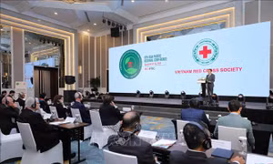 Hoạch định chiến lược, hợp tác quốc tế sẵn sàng ứng phó với thảm họa