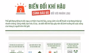 Biến đổi khí hậu - cảnh báo đỏ đối với nhân loại