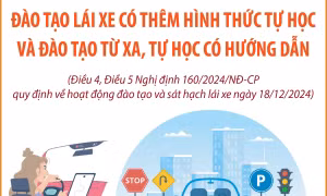 Từ 1/1/2025, đào tạo lái xe có thêm hình thức tự học và đào tạo từ xa, tự học có hướng dẫn