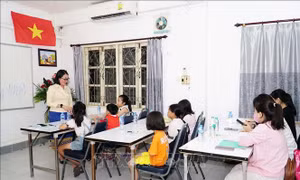 Triển khai toàn diện và mạnh mẽ hơn công tác về người Việt Nam ở nước ngoài