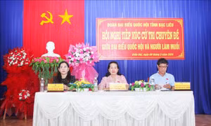 Cử tri kiến nghị cần hỗ trợ diêm dân phát triển bền vững nghề muối