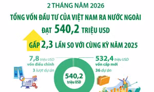 2 tháng năm 2026: Đầu tư của Việt Nam ra nước ngoài gấp 2,3 lần so với cùng kỳ 