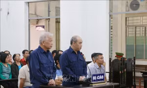 Xét xử vụ án xảy ra tại Trung tâm Đăng kiểm xe cơ giới tỉnh Khánh Hòa