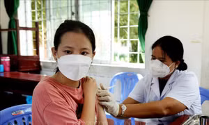 Linh hoạt phương án dạy học nhằm giữ ổn định chất lượng giáo dục