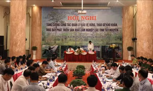 Xác định rõ trách nhiệm từng đơn vị trong bảo vệ và phát triển rừng