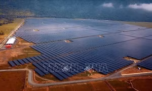  Xem xét thông tin Bnews nêu về cơ chế khuyến khích phát triển điện mặt trời