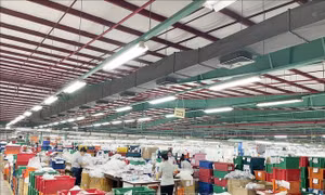 Bình Dương: Gần 3.000 công nhân trở lại làm việc sau thời gian nghỉ việc tập thể