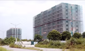 Gấp rút hoàn thành dự án nhà ở xã hội Bệnh viện Bạch Mai, Bệnh viện Hữu nghị Việt Đức