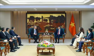 Thủ tướng Lê Minh Hưng tiếp Đại sứ Israel Yaron Mayer chào từ biệt