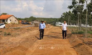 Người dân Đồng Nai hiến đất làm đường, mở cơ hội phát triển bền vững