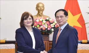 Việt Nam và Ai Cập phấn đấu đưa kim ngạch song phương đạt 1 tỷ USD