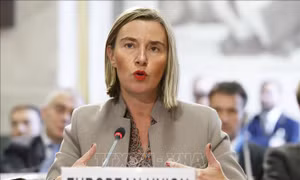 EU cảnh báo việc Mỹ khởi kiện công ty nước ngoài ở Cuba