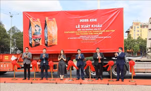 Đắk Lắk xuất khẩu container cà phê rang xay thành phẩm sang thị trường Hoa Kỳ