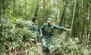 Tổng kết 5 năm thực hiện Đề án tập huấn, tuyên truyền Luật Biên phòng Việt Nam