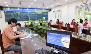 Hà Nội: Trên 90% phụ huynh có con vào lớp 1 đã đăng ký tuyển sinh trực tuyến