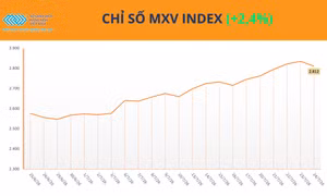 Lực mua áp đảo, MXV-Index tăng tuần thứ 5 liên tiếp