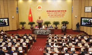 Hà Nội phối hợp đẩy nhanh tiến độ và nâng cao chất lượng giải quyết các vụ án lớn