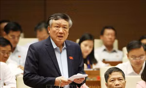 Đại biểu chất vấn Chánh án vụ tự tử vì tòa xử sai khi tranh chấp một con bê