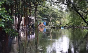 Hà Nội mưa to làm mực nước sông Nhuệ, sông Đáy lên mức báo động I