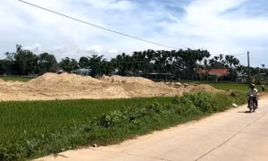 Bị phạt 300 triệu đồng vì thi công khu dân cư chưa có đánh giá tác động môi trường