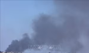 Trên 40.000 người tham gia tuần hành kêu gọi ngừng bắn tại Gaza