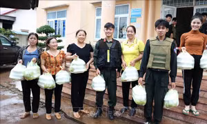 Đắk Lắk: Buôn làng ấm áp tình quân dân