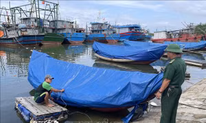 Quảng Trị gấp rút triển khai biện pháp đảm bảo an toàn cho ngư dân và tàu thuyền