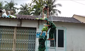 Hỗ trợ người dân chằng chống nhà cửa, di dời trước khi bão đổ bộ