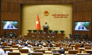 Thông cáo báo chí số 29, Kỳ họp thứ 8, Quốc hội khóa XV