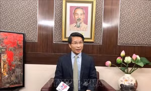Xung lực mới cho quan hệ hợp tác Việt Nam - Hong Kong (Trung Quốc)