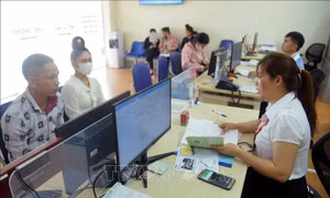 Kết nối cung - cầu lao động, góp phần phát triển kinh tế - xã hội